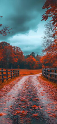 Fall Wallpaper 5