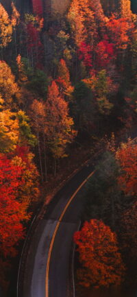 Fall Wallpaper 5