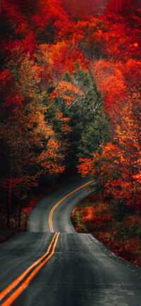 Fall Wallpaper 1