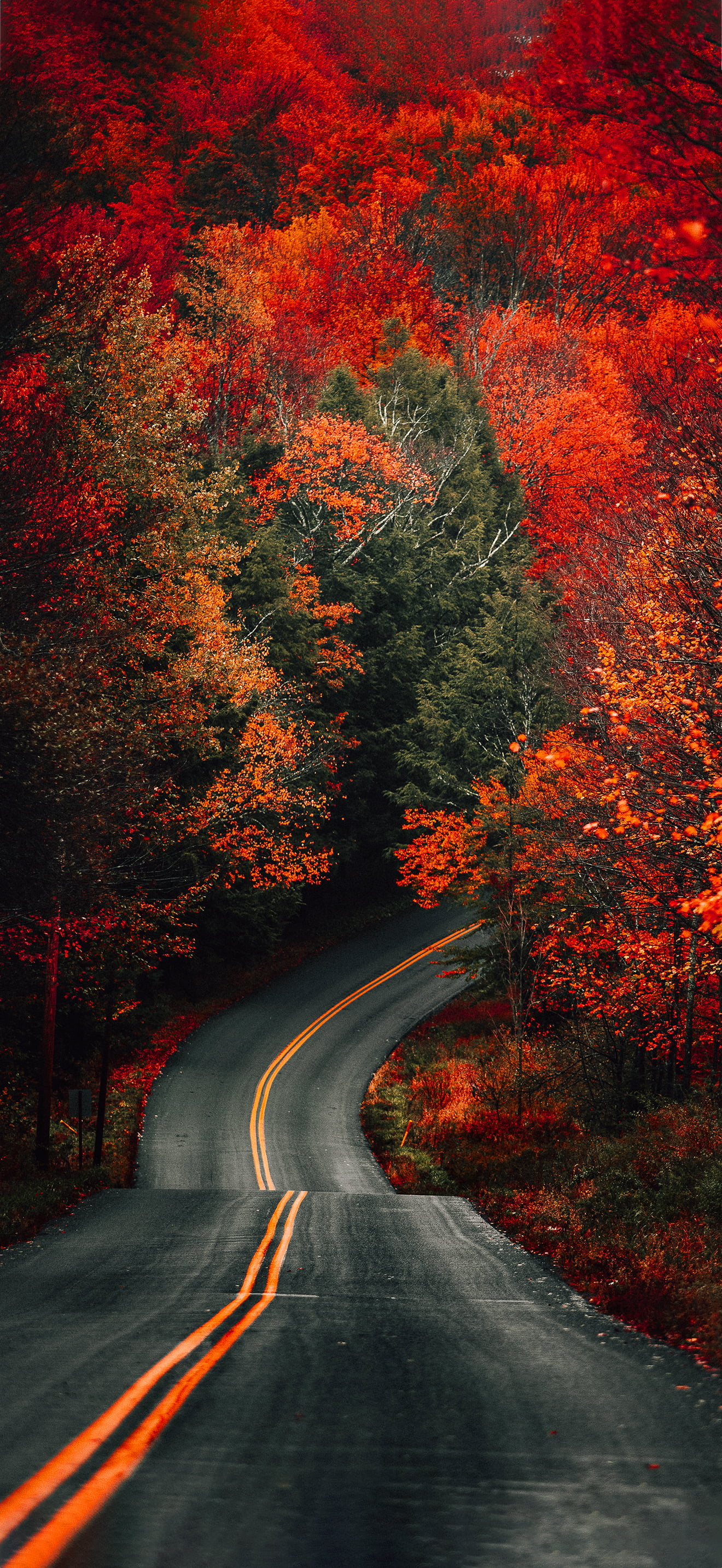 Fall Wallpaper 1