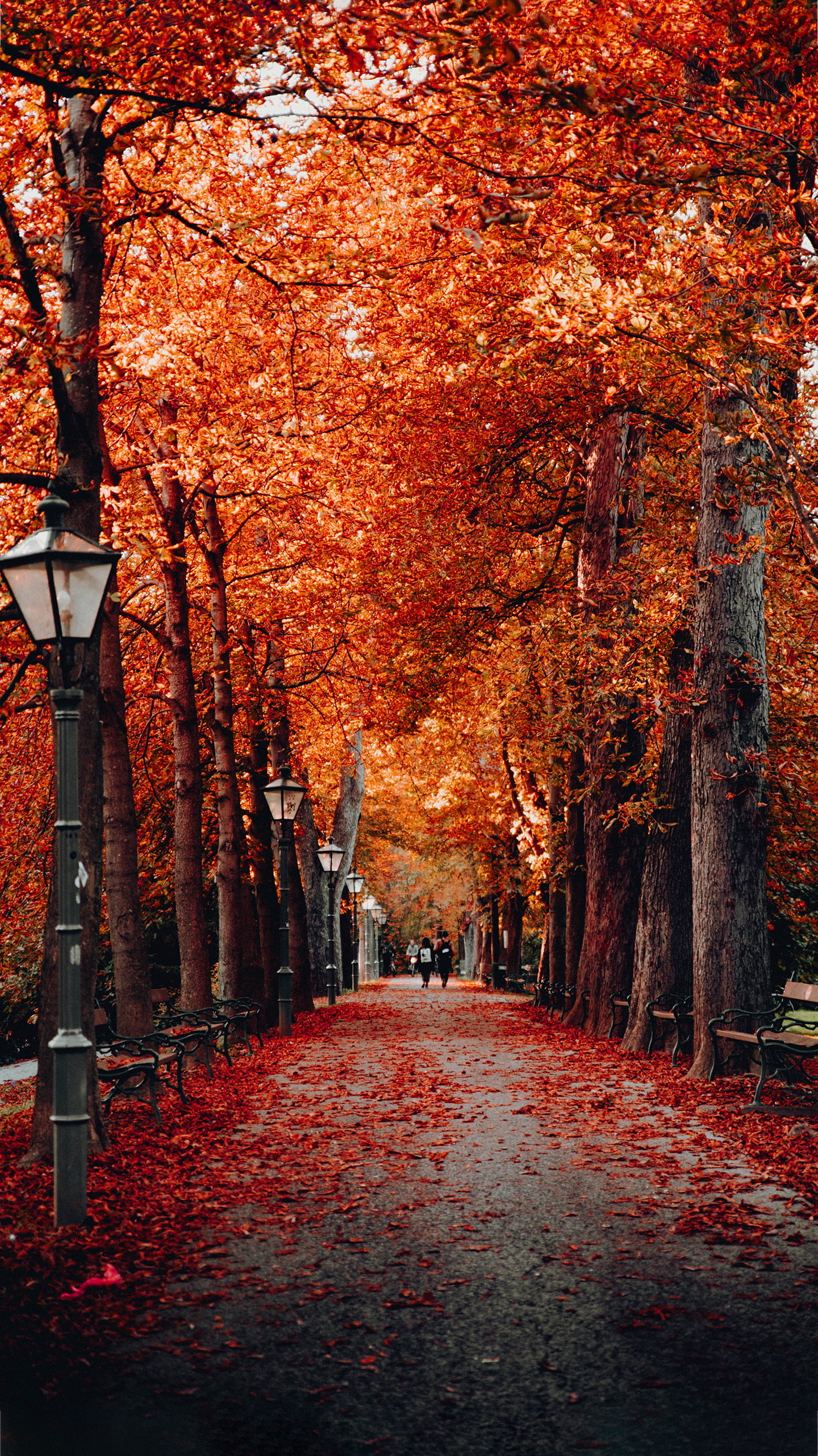 Fall Wallpaper 1 Fall Wallpaper 1