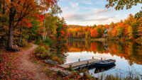 Fall Wallpaper 7