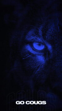BYU Wallpaper 2