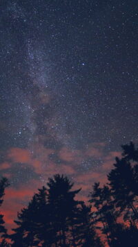 Star Wallpaper 8