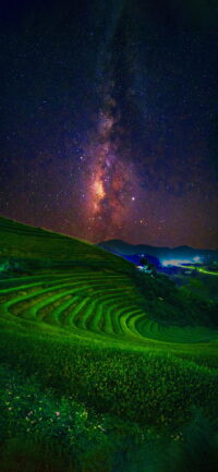 Star Wallpaper 2